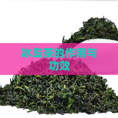 冰岛茶的作用与功效