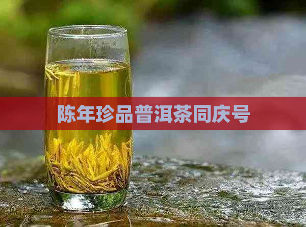 陈年珍品普洱茶同庆号