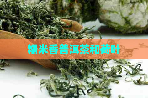 糯米香普洱茶和荷叶