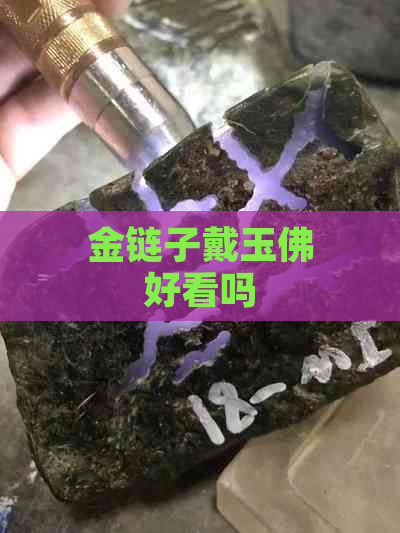 金链子戴玉佛好看吗