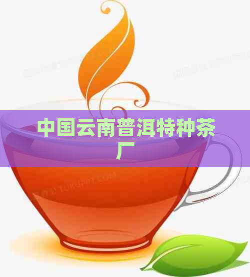 中国云南普洱特种茶厂