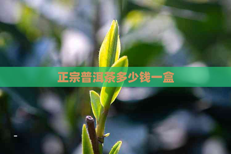 正宗普洱茶多少钱一盒