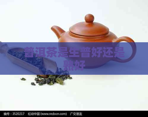 普洱茶是生普好还是熟好