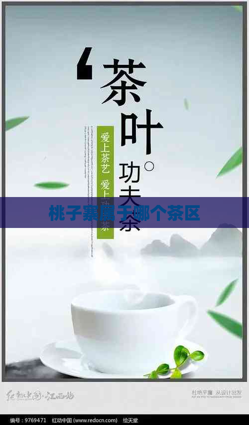 桃子寨属于哪个茶区