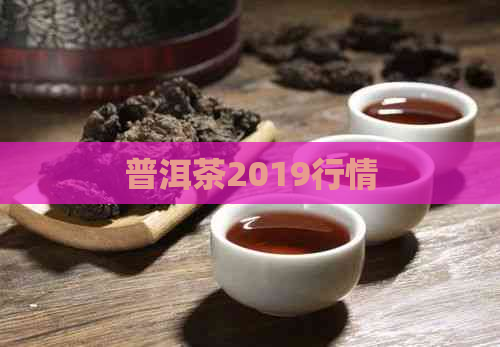 普洱茶2019行情