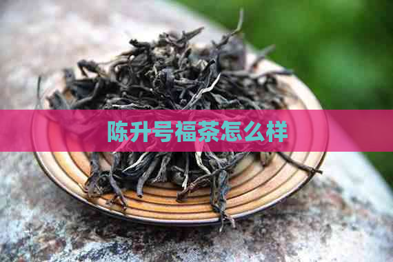 陈升号福茶怎么样