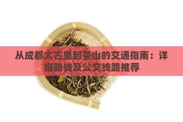 从成都太古里到茶山的交通指南：详细路线及公交线路推荐