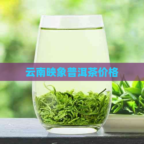 云南映象普洱茶价格