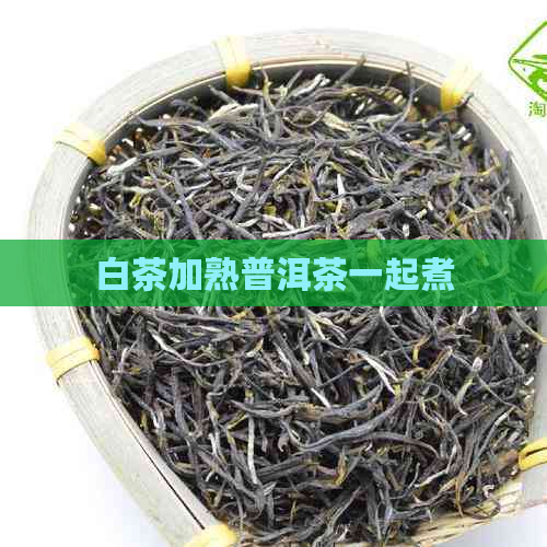 白茶加熟普洱茶一起煮