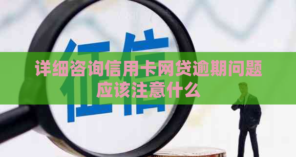 详细咨询信用卡网贷逾期问题应该注意什么