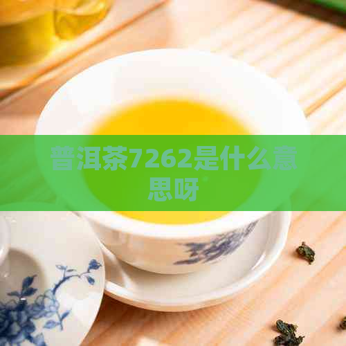 普洱茶7262是什么意思呀