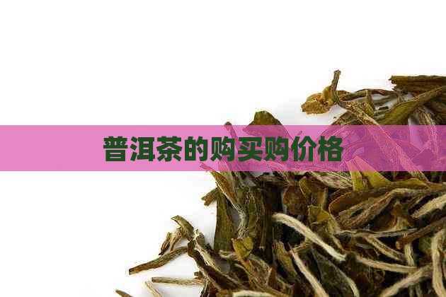 普洱茶的购买购价格