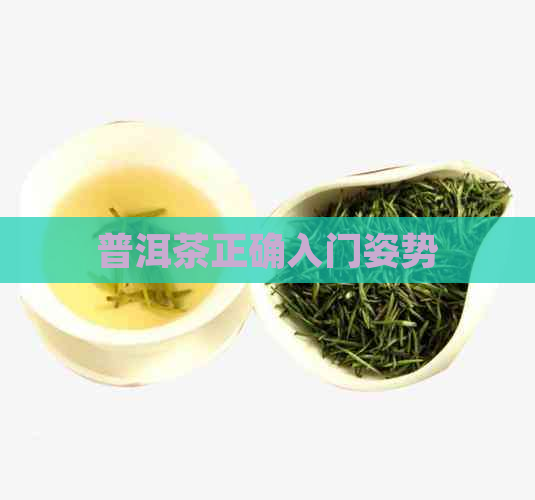 普洱茶正确入门姿势