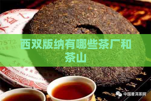 西双版纳有哪些茶厂和茶山