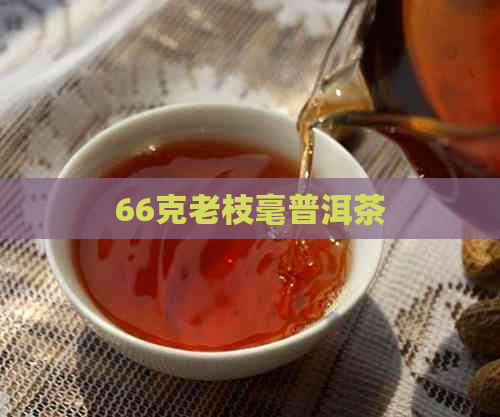 66克老枝毫普洱茶