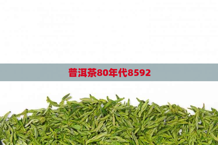 普洱茶80年代8592