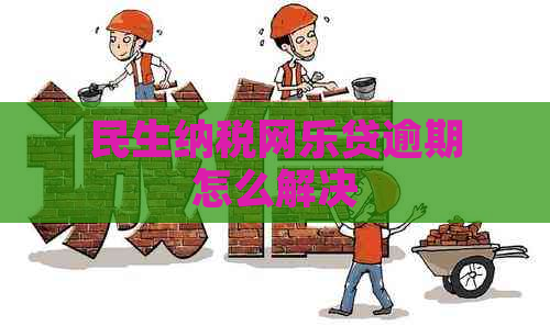 民生纳税网乐贷逾期怎么解决