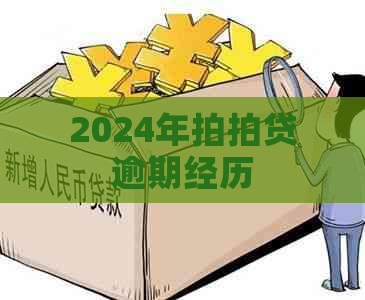 2024年逾期经历