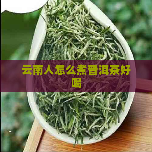 云南人怎么煮普洱茶好喝