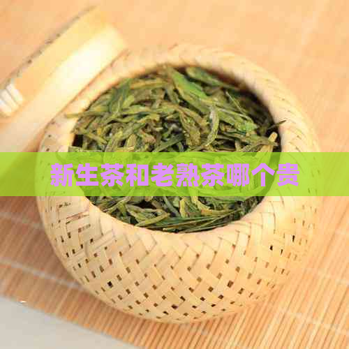 新生茶和老熟茶哪个贵