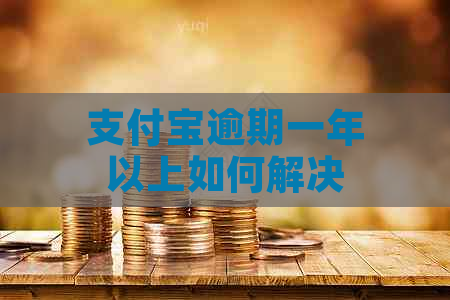 支付宝逾期一年以上如何解决