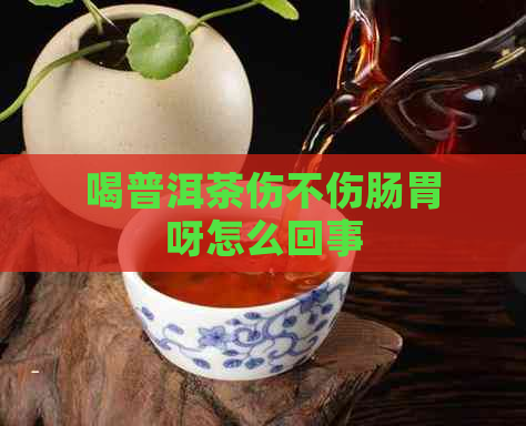 喝普洱茶伤不伤肠胃呀怎么回事