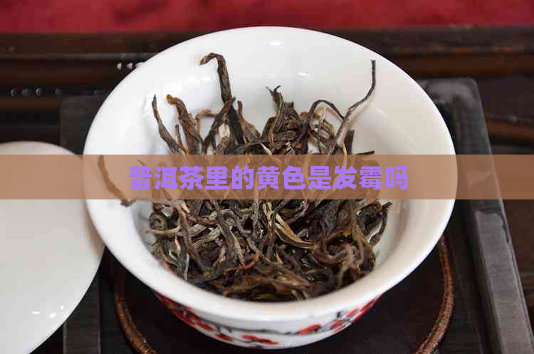 普洱茶里的黄色是发霉吗