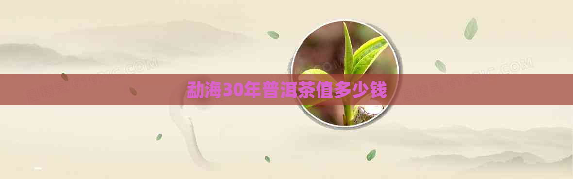 勐海30年普洱茶值多少钱