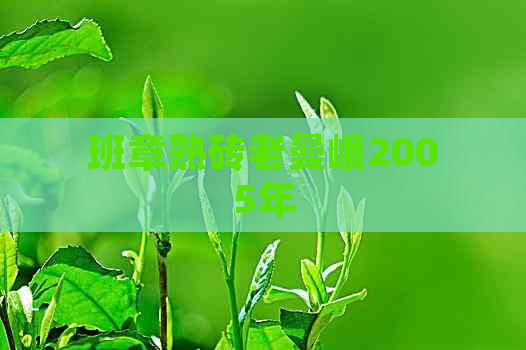 班章熟砖老曼峨2005年