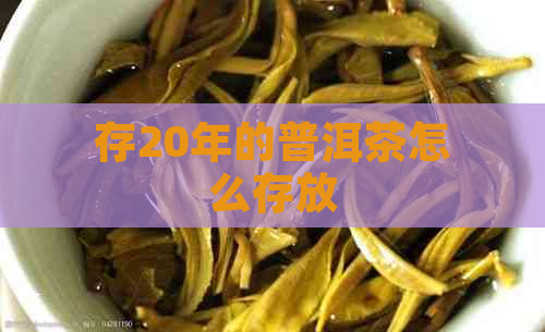 存20年的普洱茶怎么存放