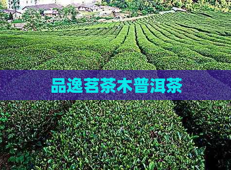 品逸茗茶木普洱茶