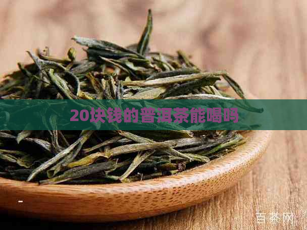 20块钱的普洱茶能喝吗