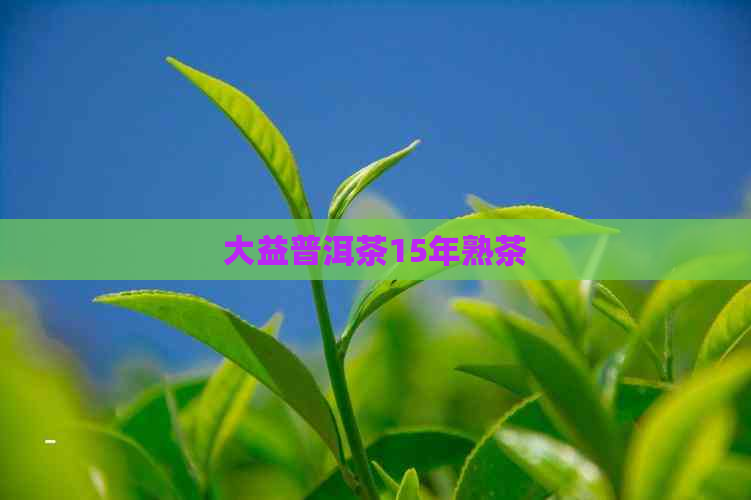 大益普洱茶15年熟茶