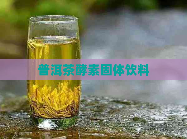 普洱茶酵素固体饮料