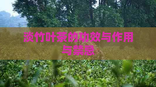 淡竹叶茶的功效与作用与禁忌