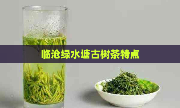 临沧绿水塘古树茶特点