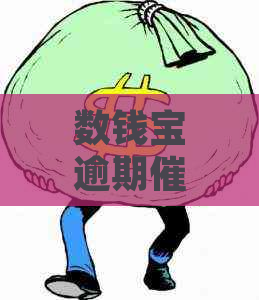 数钱宝逾期怎么处理