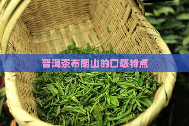 普洱茶布朗山的口感特点