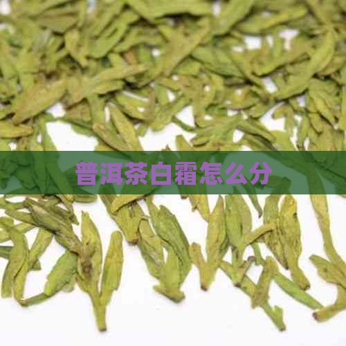 普洱茶白霜怎么分