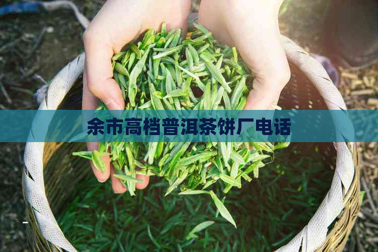 余市高档普洱茶饼厂电话