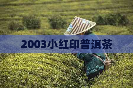 2003小红印普洱茶