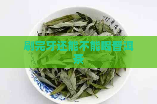 刷完牙还能不能喝普洱茶