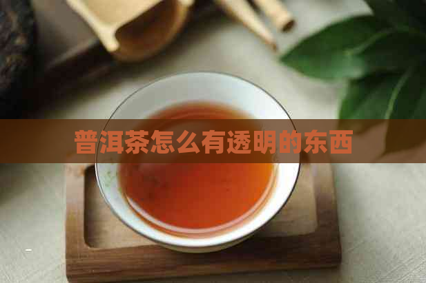 普洱茶怎么有透明的东西