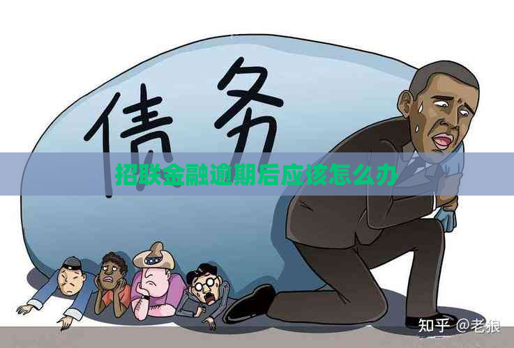 招联金融逾期后应该怎么办