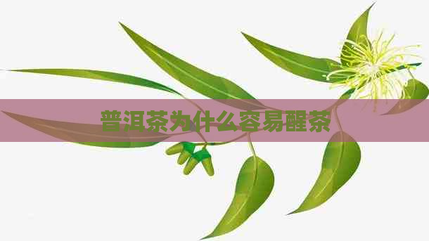 普洱茶为什么容易醒茶