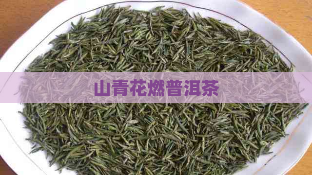 山青花燃普洱茶