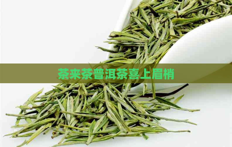 茶来茶普洱茶喜上眉梢