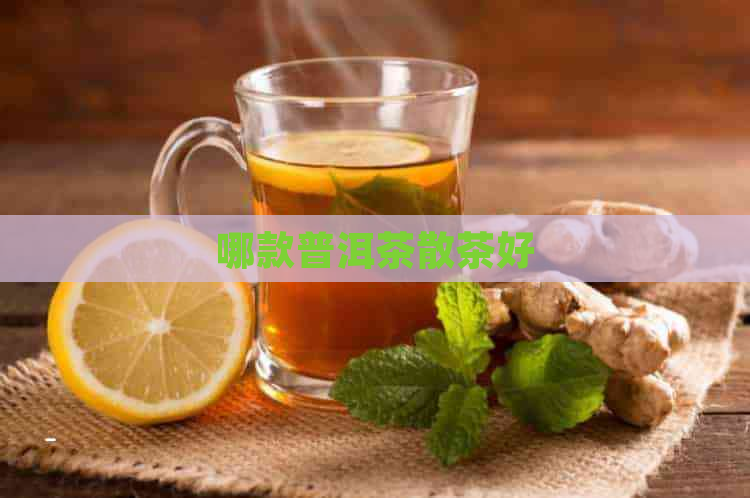 哪款普洱茶散茶好