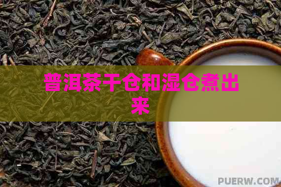 普洱茶干仓和湿仓煮出来