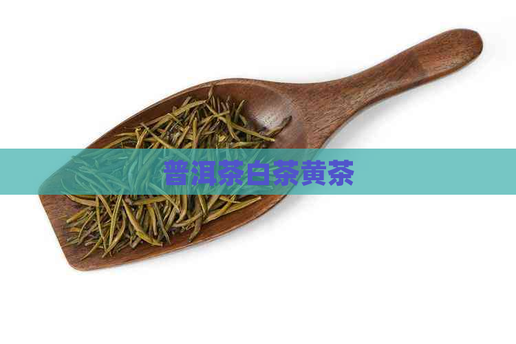 普洱茶白茶黄茶